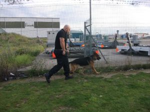 dog handlers Luton
