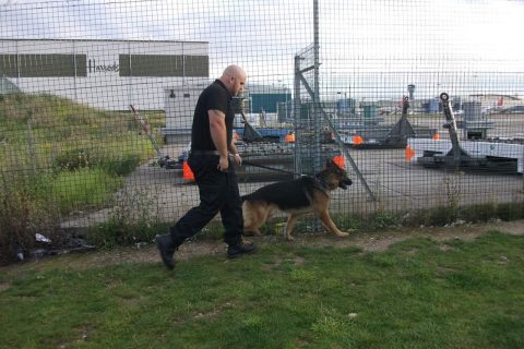 K9 Security Services